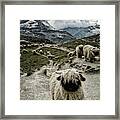 Out Of My Way Framed Print