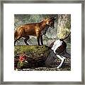 Outfoxed Framed Print