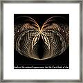 Outward Appearance Framed Print