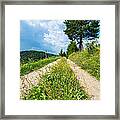 Overgrown Rural Path Up A Hill Framed Print