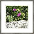 Overhanging Blossoms Yaxcopoil Mexico Framed Print