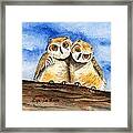 Owl Babies Framed Print