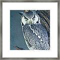 Owl Sleeping Framed Print