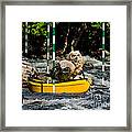 Owlets In A Canoe Framed Print