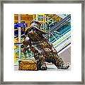 Paddington Bear Framed Print