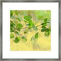 Painted By The Wind Two Framed Print