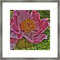 Painterly Peony Framed Print