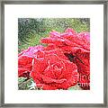 Painterly Red English Roses With Green Swirls Framed Print