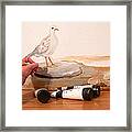Painting A Dove Framed Print