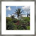 Palm Garden Framed Print