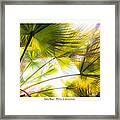 Palm Rays - Palma De Guadalupe Framed Print