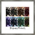 Palm Shades Framed Print