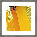 S Palm Shadow On Yellow Wall - Square Framed Print