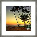 Palm Sunrise Framed Print