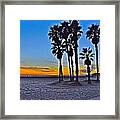 Palm Tree Beauty Framed Print