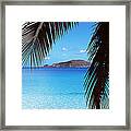 Palm Tree On The Beach, Maho Bay Framed Print