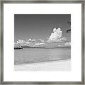 Palm Tree On The Beach, Moana Beach Framed Print