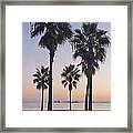 Palm Trees At Ocean Pacific Shore At Framed Print