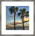 Palms At The Pier Framed Print
