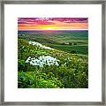 Palouse Flowers Framed Print