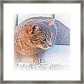 Pancho On The Roof Terrace Framed Print