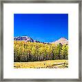 Panorama Autumn Bonanza Framed Print