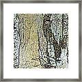 Panoramic Tree Bark Abstract Framed Print