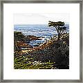 Panoramic View Of The Pacific Coastline At Pebble Beach Framed Print