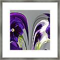 Pansy Series 803 Framed Print