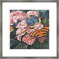 Papillons Framed Print