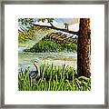 Paradise Framed Print