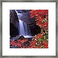 Paradise Valley Stream In Fall Framed Print