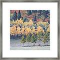 Park City Meadow Framed Print