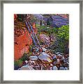 Zion National Park Utah Usa #37 Framed Print