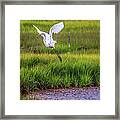 Parker National Wildlife Refuge Framed Print