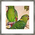 Parrot Popularity Framed Print