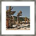 Passing Through Olmsted Pass Framed Print