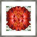 Passion Framed Print