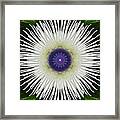 Passion Flower Portal Mandala Framed Print