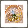 Pastel Dahlia Orb Framed Print