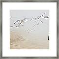 Pastel Gulls In Fog Framed Print