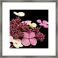 Pastels From Anna Framed Print