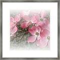 Pastels In Pink Framed Print