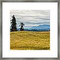 Pasture And Barn Framed Print