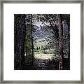 Path Of Life Ruby Mountains Forest Framed Print