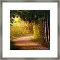 Path To Enlightenment Framed Print