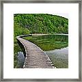 Path To... Framed Print