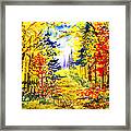 Path To The Fall Framed Print