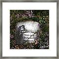 Patience Framed Print