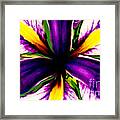 Patricia Bunk's Iris Framed Print